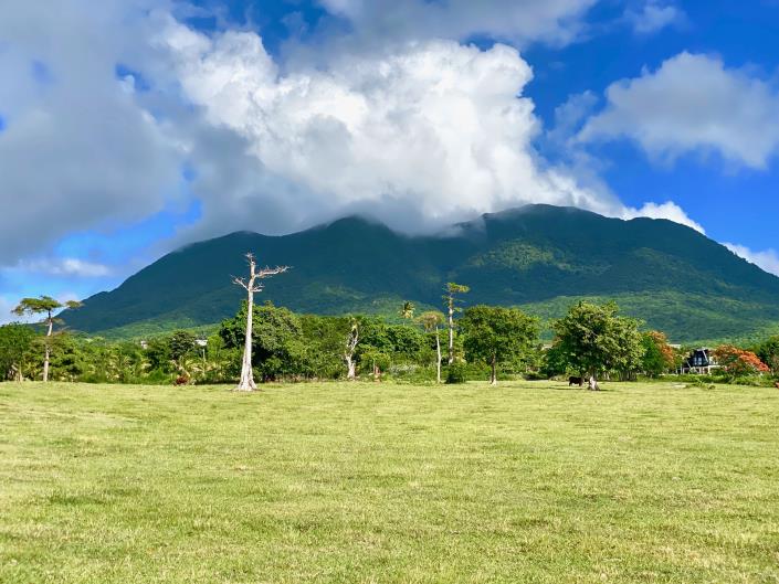 Image No.2-Terre à vendre à Nevis