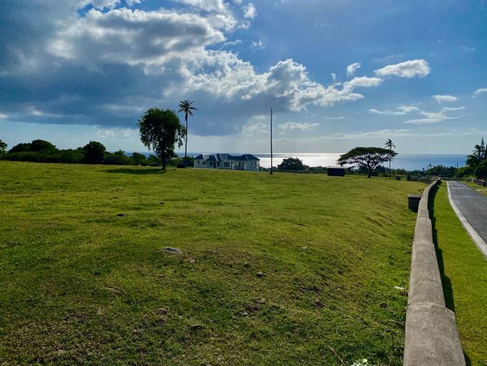 Image No.7-Terre à vendre à Nevis