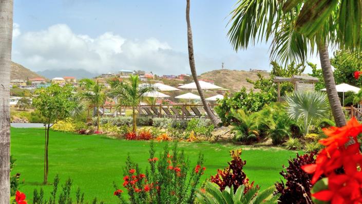 Image No.14-Studio à vendre à Saint Kitts