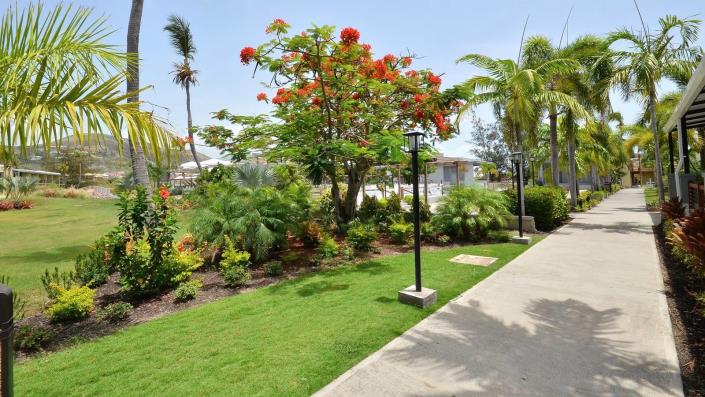 Image No.15-Studio à vendre à Saint Kitts