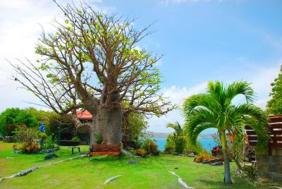 image_6483441-5