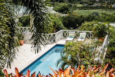 2026_03_23_StKittsNevisRealty_TooMuchNice_WebReady-89