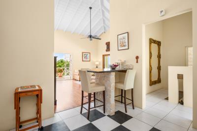 2026_03_23_StKittsNevisRealty_TooMuchNice_WebReady-53