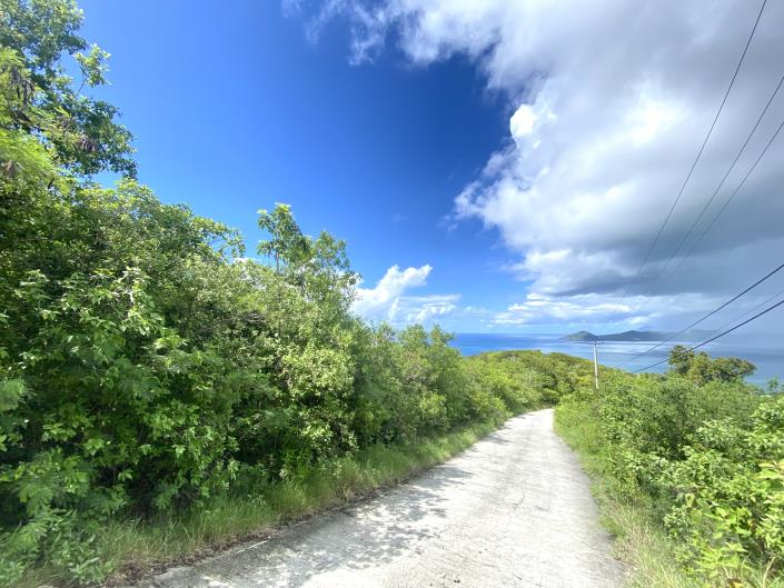 Image No.3-Terre à vendre à Nevis