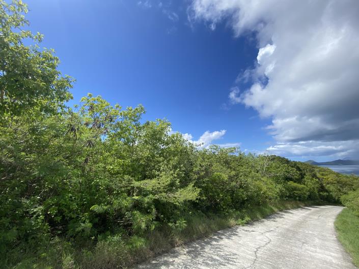 Image No.4-Terre à vendre à Nevis