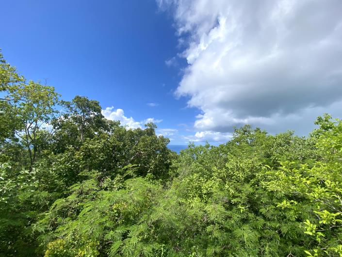 Image No.6-Terre à vendre à Nevis