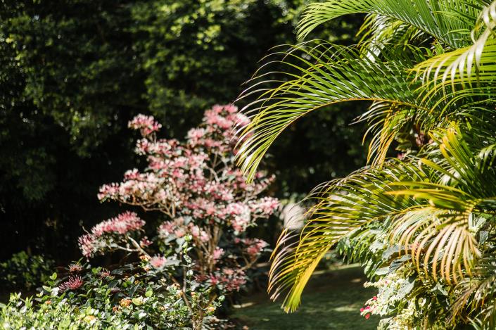 Image No.26-Villa / Détaché de 3 chambres à vendre à Nevis