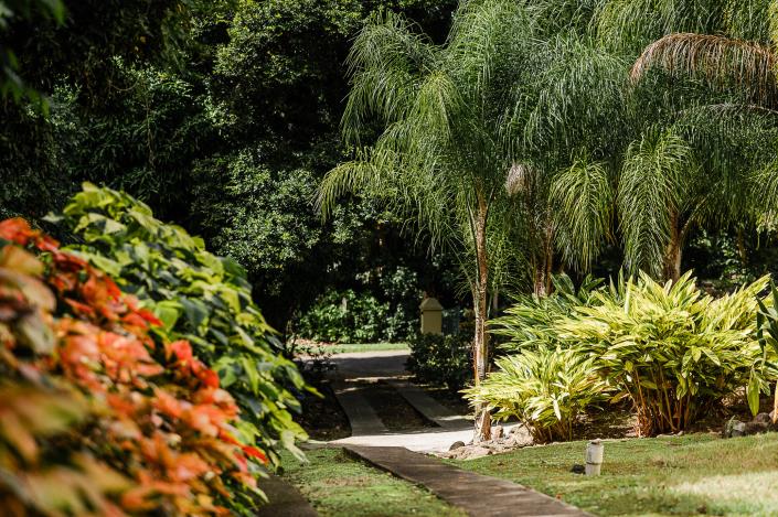 Image No.29-Villa / Détaché de 3 chambres à vendre à Nevis