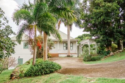 2023_10_27_StKittsNevisRealty_SaddleHillVillaCottage_Nevis_WebReady-74