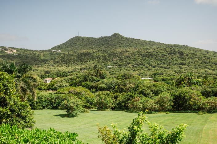 Image No.27-Villa / Détaché de 4 chambres à vendre à Nevis