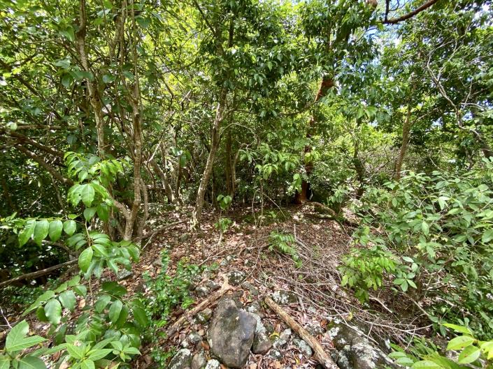 Image No.5-Land for sale