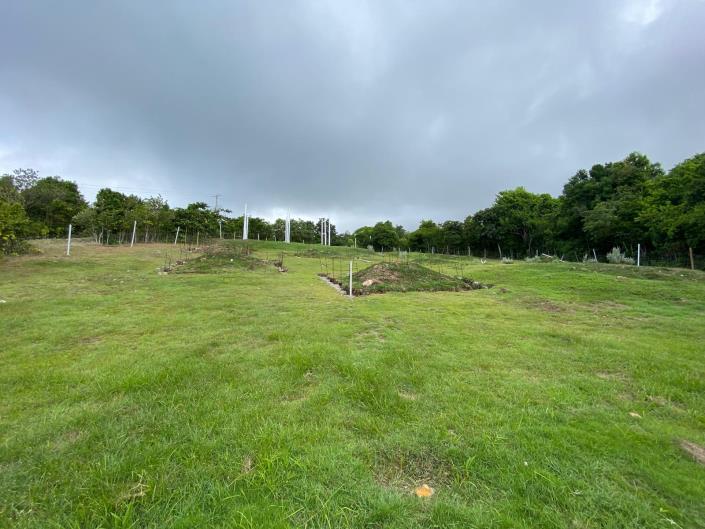 Image No.5-Land for sale