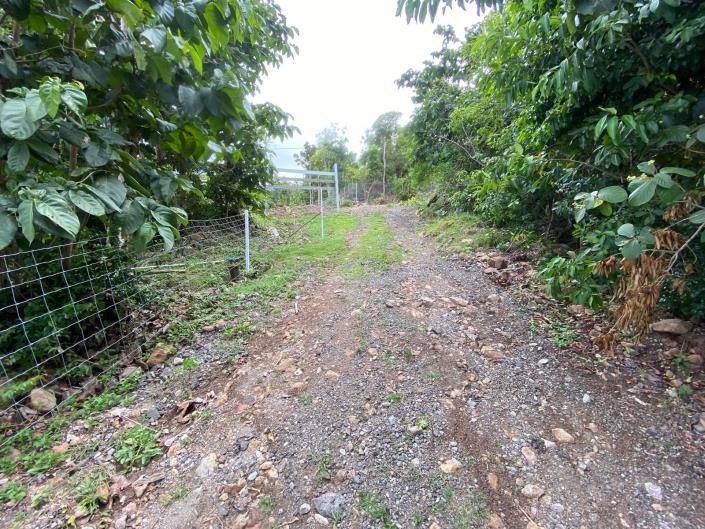 Image No.12-Land for sale