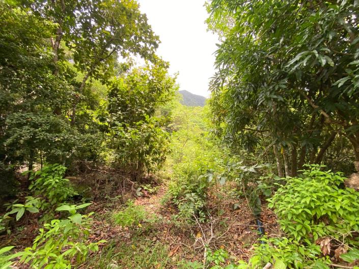 Image No.7-Land for sale