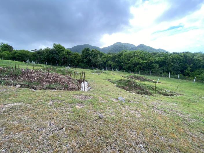 Image No.9-Land for sale