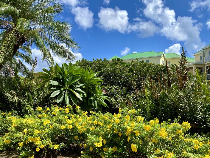 Image No.24-2 Bed Townhouse for sale