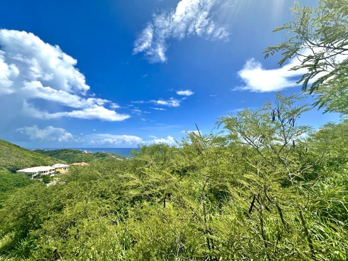 Image No.1-Terre à vendre à Nevis