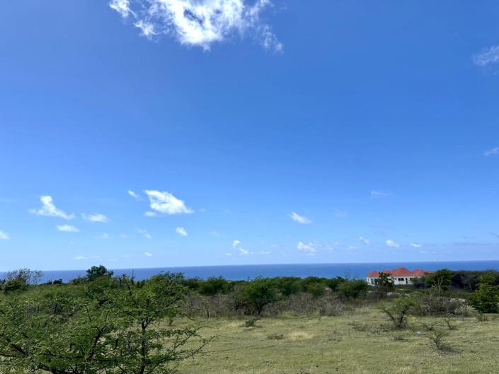 Image No.2-Terre à vendre à Nevis