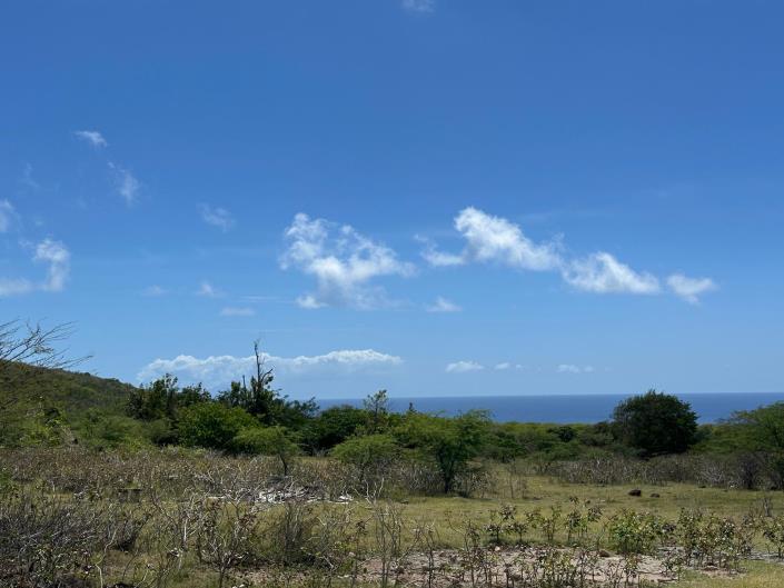 Image No.2-Terre à vendre à Nevis