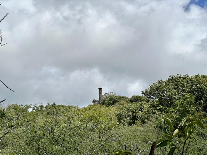 Image No.5-Terre à vendre à Nevis