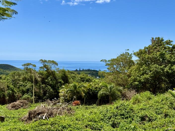 Image No.1-Land for sale