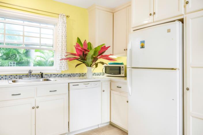 Image No.29-Villa / Détaché de 4 chambres à vendre à Nevis