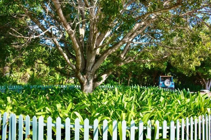 Image No.3-4 Bed Villa / Detached for sale