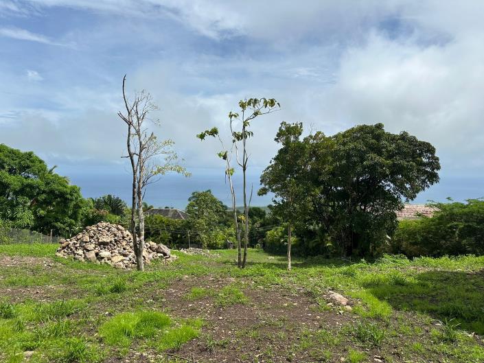 Image No.5-Land for sale