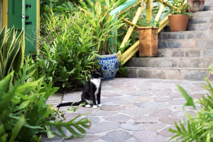 Image No.25-2 Bed Commercial for sale