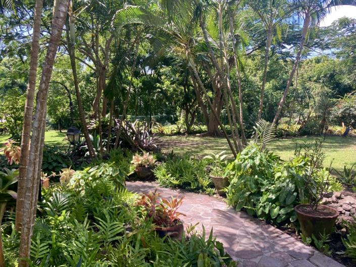 Image No.12-2 Bed Commercial for sale