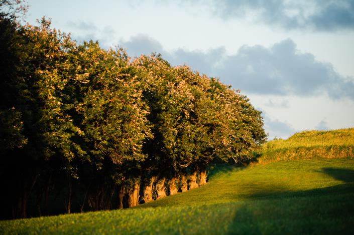 Image No.44-Propriété de pays de 3 chambres à vendre à Saint Kitts