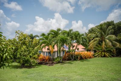 2025_09_10_StKittsNevisRealty_KinjaRules_WebReady-24