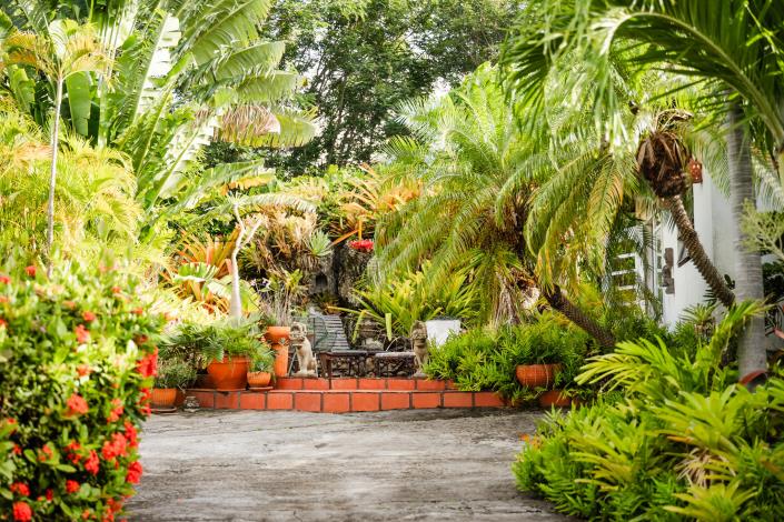 Image No.35-Villa / Détaché de 3 chambres à vendre à Charlestown