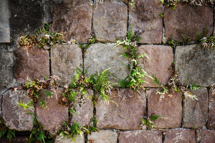 Image No.25-6 Bed Country Property for sale