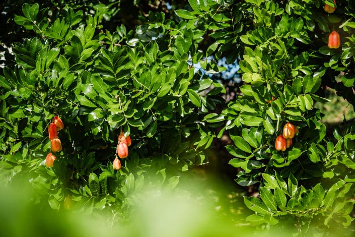 Image No.26-6 Bed Country Property for sale