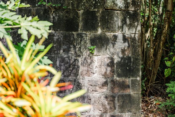 Image No.31-6 Bed Country Property for sale