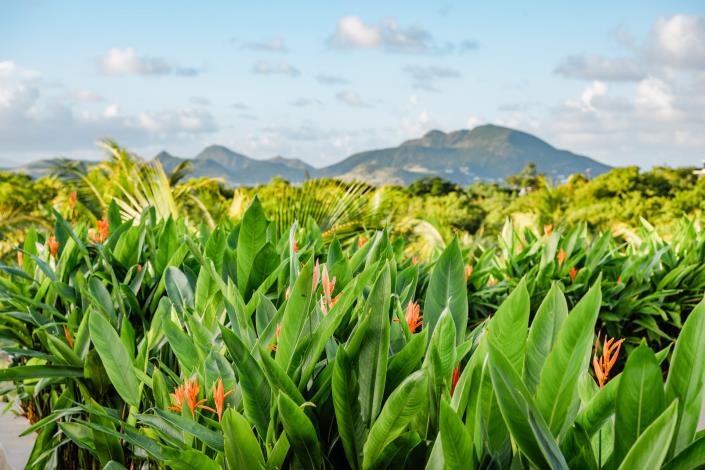 Image No.32-Villa / Détaché de 4 chambres à vendre à Nevis