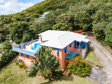 2026_01_27_StKittsNevisRealty_HomeTreeVillaAtHermitage_WebReady-49