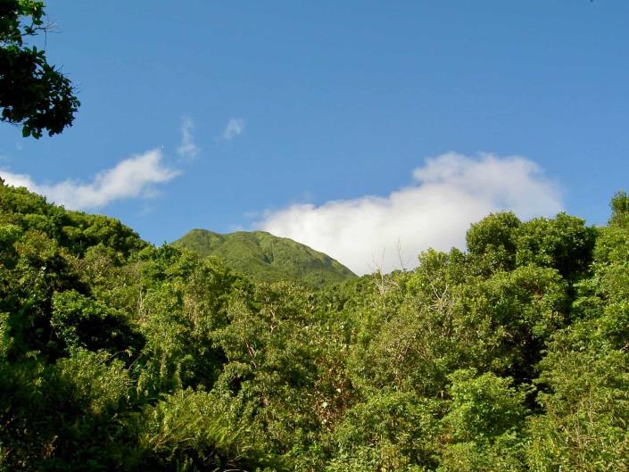 Image No.5-Land for sale