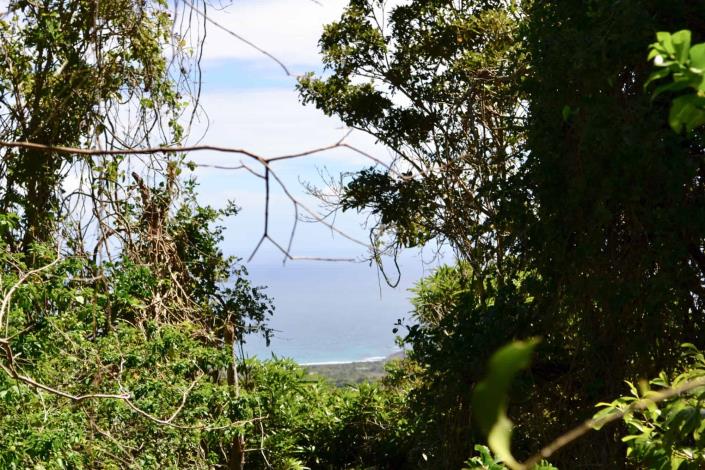 Image No.2-Land for sale