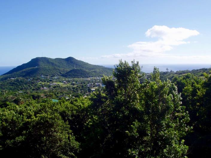 Image No.3-Terre à vendre à Nevis