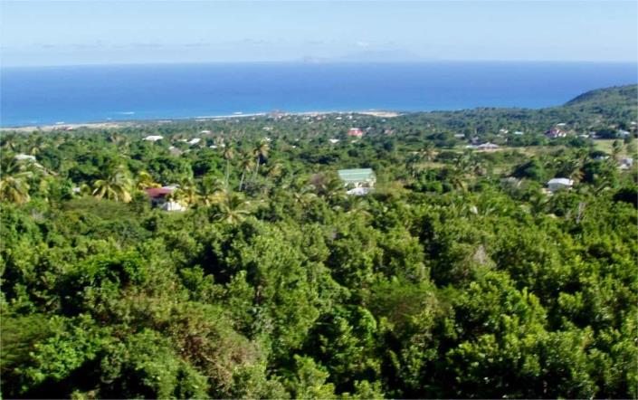 Image No.7-Terre à vendre à Nevis