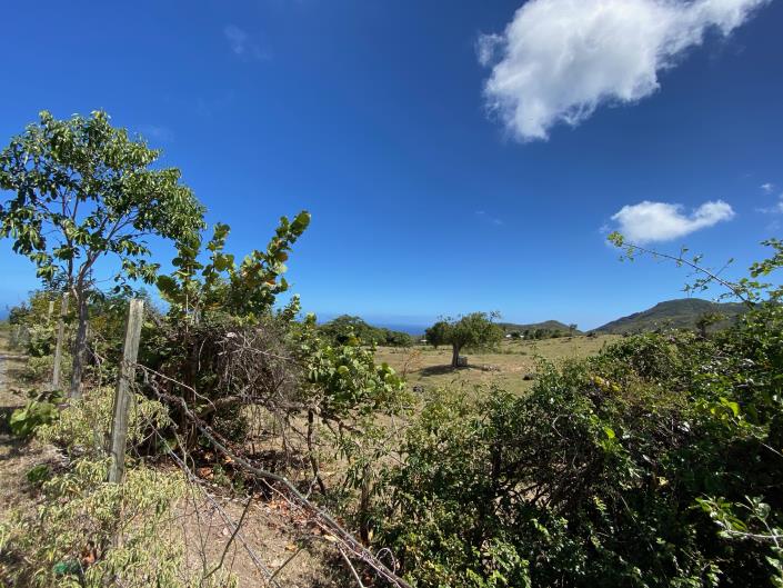 Image No.4-Land for sale