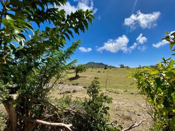 OME-20-88-ACRES-2