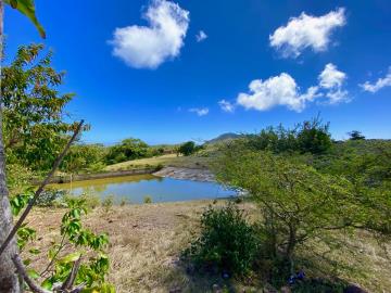 OME-20-88-ACRES-1