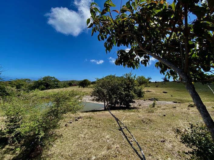 Image No.6-Land for sale