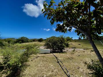 OME-20-88-ACRES-4