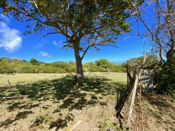 OME-11-17-ACRES-2
