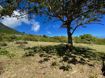 OME-11-17-ACRES-3