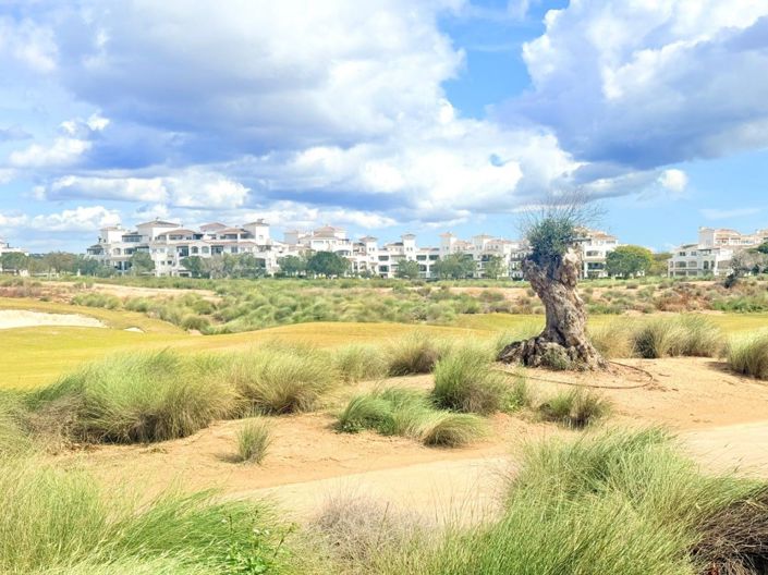 Image No.39-Propriété de 2 chambres à vendre à Hacienda Riquelme Golf Resort